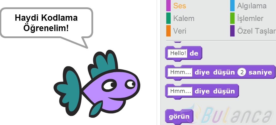 Çocuklar için Kodlama Çocuklar için Kodlama