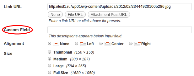 attachment-custom-field özel alan ekleme
