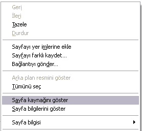 sayfa kaynagını goster