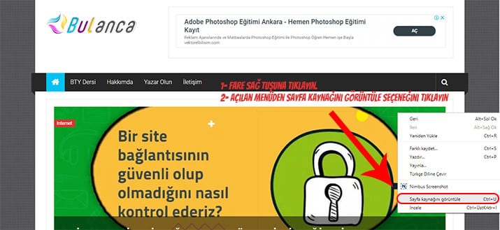 site kodlarını görme